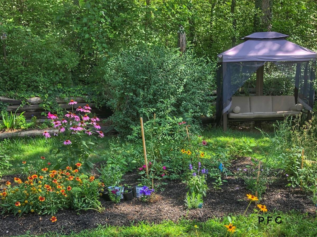 Cozy Cottage Retreat Lambton Shores Luaran gambar