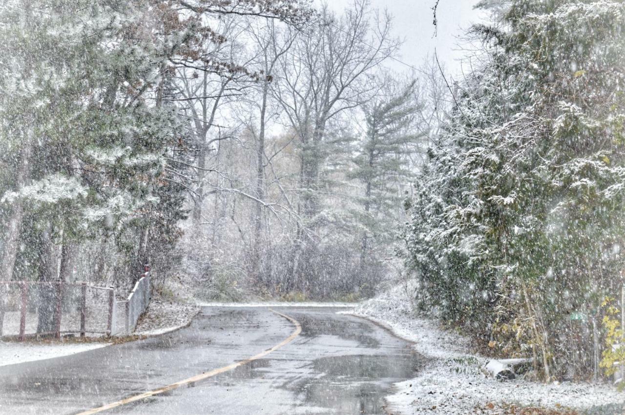 Cozy Cottage Retreat Lambton Shores Luaran gambar